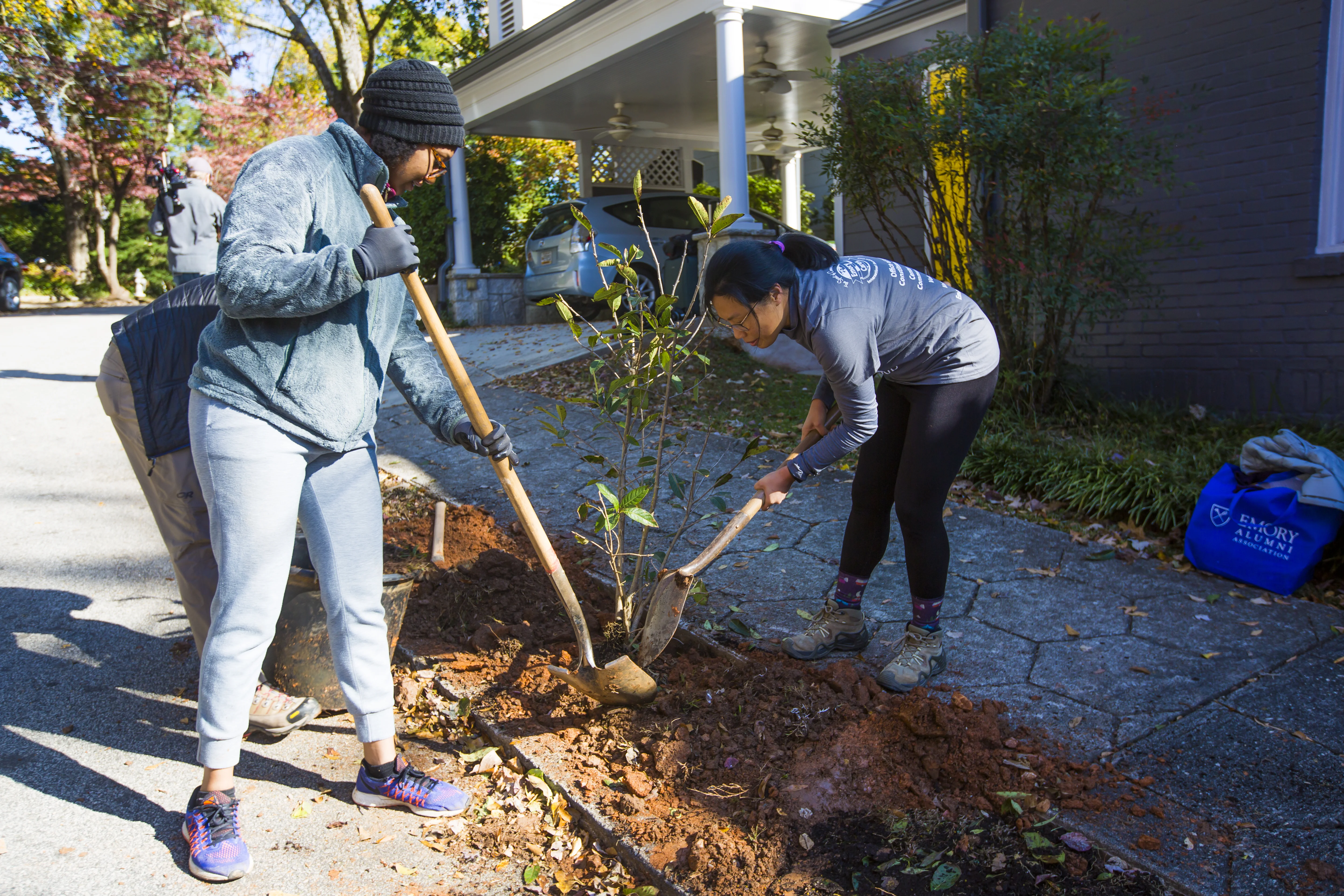 Students planting a tree